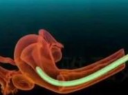 潍坊市人民医院做三代试管成功率如何？一文读懂需要花多少钱