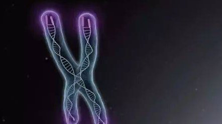 丽水人民医院做试管婴儿成功率高吗？多少钱？