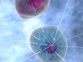 广西试管助孕费用统计表!附试管助孕经验分享