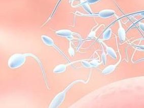 哈尔滨试管费用多少钱？附试管公立医院名单？